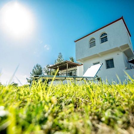 Grande Villa ハニオティス エクステリア 写真